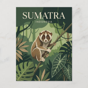 Sumatra Indonesia Postcard