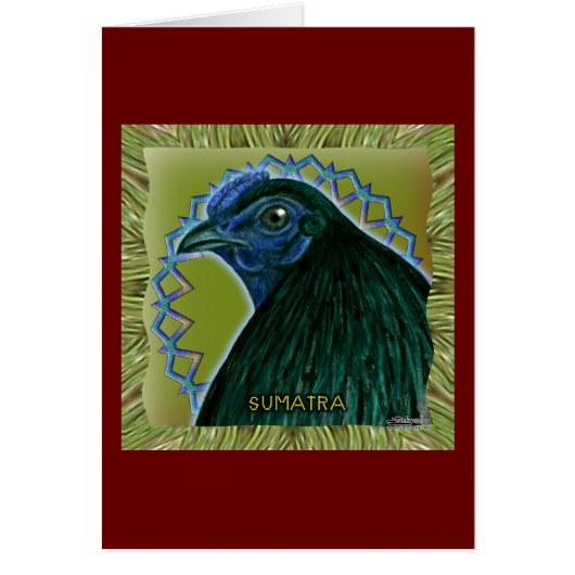 Sumatra Rooster Framed Cards (Front)