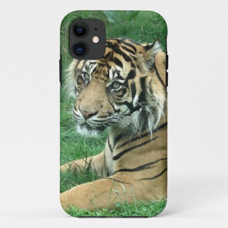 Sumatra Tiger On Iphone 5 Barely There Iphone 11 Case