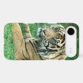 Sumatra Tiger On Your iPod Touch Case-Mate Cover (Back (Horizontal))