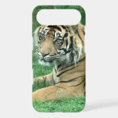 Sumatra Tiger On Your iPod Touch Case-Mate Cover (Back)