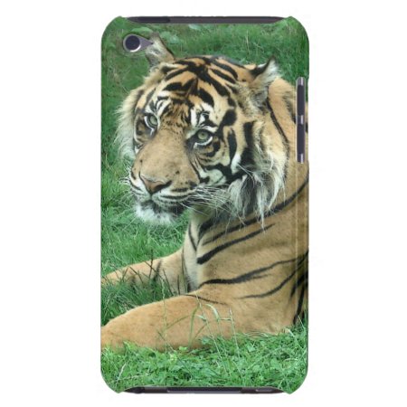 Sumatra Tiger On Your Ipod Touch Case-mate Ipod Touch Cover