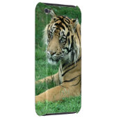 Sumatra Tiger On Your iPod Touch Case-Mate iPod Touch Cover (Back/Right)