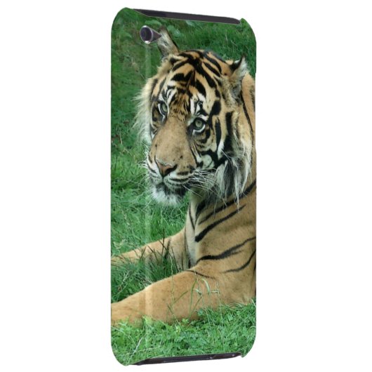 Sumatra Tiger On Your iPod Touch Case-Mate iPod Touch Cover (Back/Right)