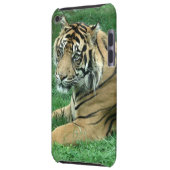 Sumatra Tiger On Your iPod Touch Case-Mate iPod Touch Cover (Back Left)