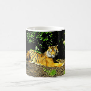 Sumatran tiger animal coffee mug