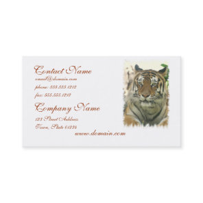 Sumatran Tiger Business Cards