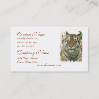 Sumatran Tiger Business Cards