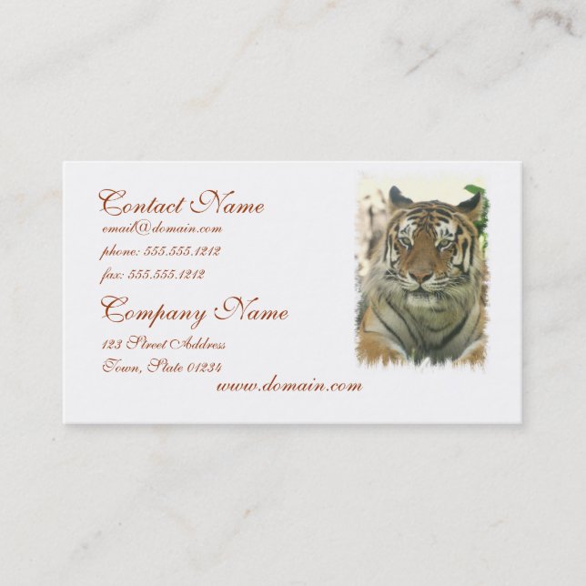 Sumatran Tiger Business Cards (Front)