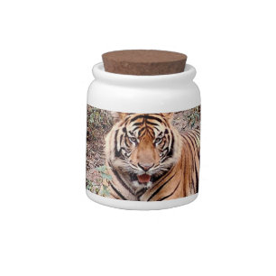 Sumatran Tiger Candy Jar