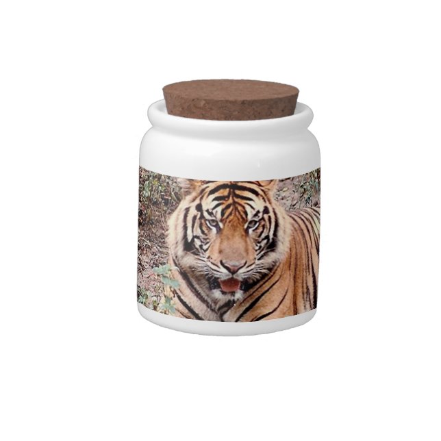 Sumatran Tiger Candy Jar (Left)