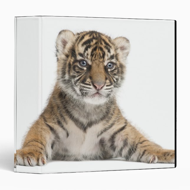 Sumatran Tiger cub Binder (Front/Spine)