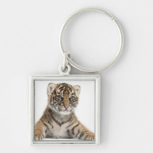 Sumatran Tiger cub Keychain