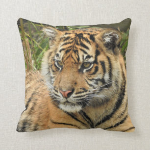 Sumatran Tiger Cub Throw Pillow
