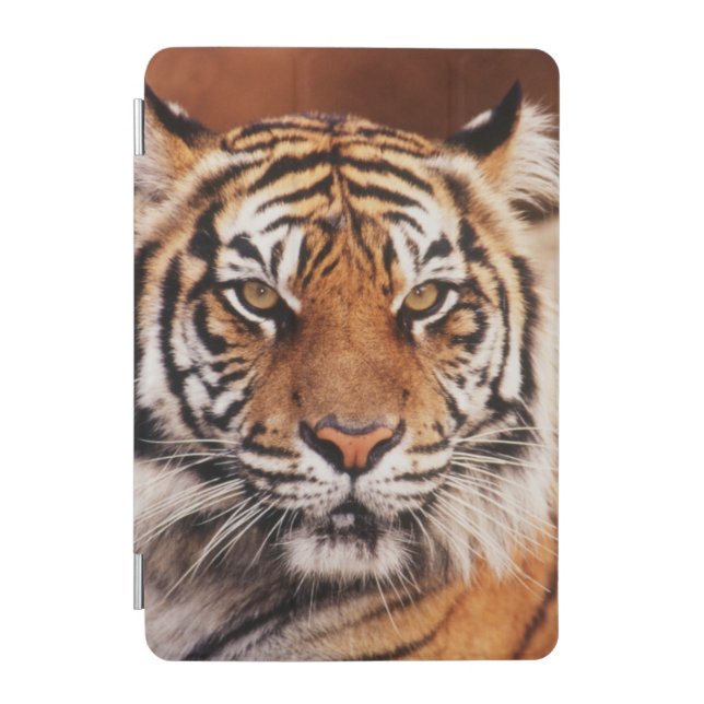 Sumatran Tiger iPad Mini Cover (Front)