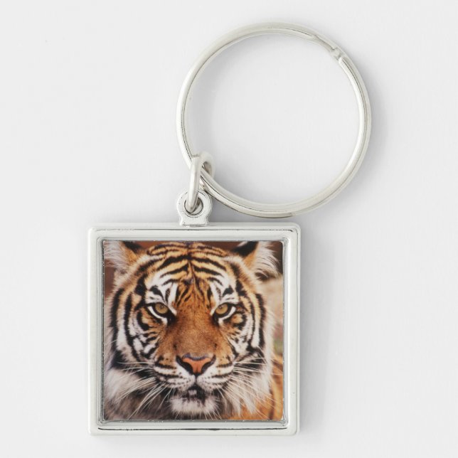 Sumatran Tiger Keychain (Front)