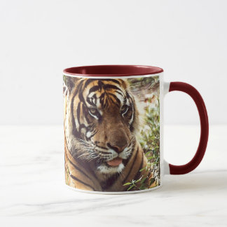 Sumatran Tiger Mug