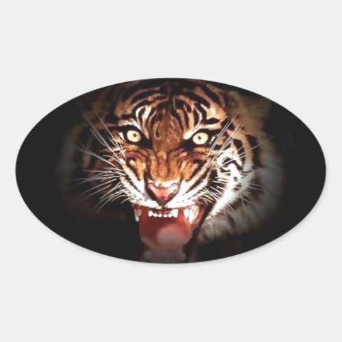 Sumatran Tiger Oval Sticker