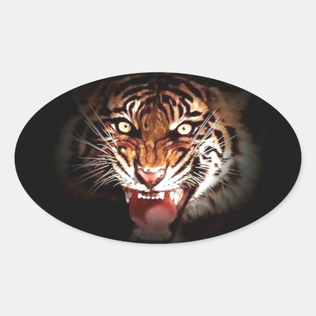 Sumatran Tiger Oval Sticker (Front)