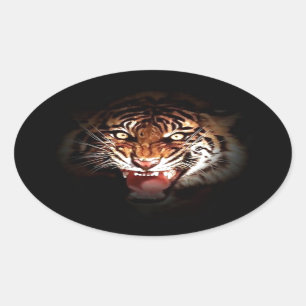 Sumatran Tiger Oval Sticker