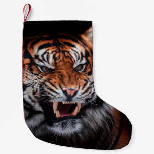 Sumatran tiger (Panthera tigris sumatrae) beautifu Small Christmas Stocking