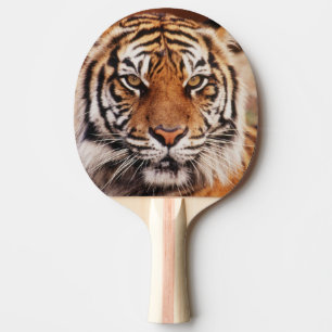 Sumatran Tiger Ping-Pong Paddle
