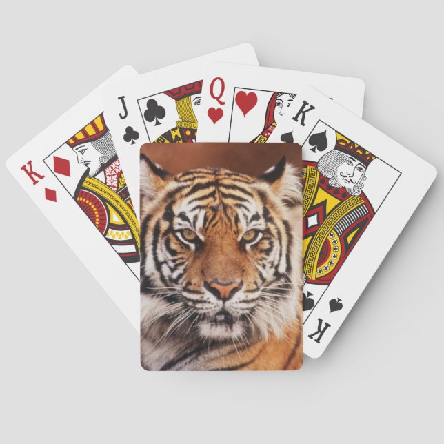 Sumatran Tiger Poker Cards (Back)