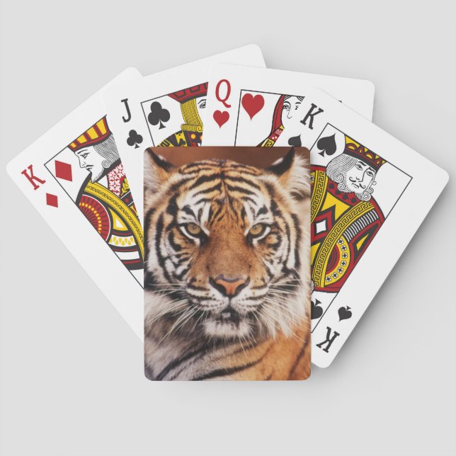 Sumatran Tiger Poker Cards (Back)