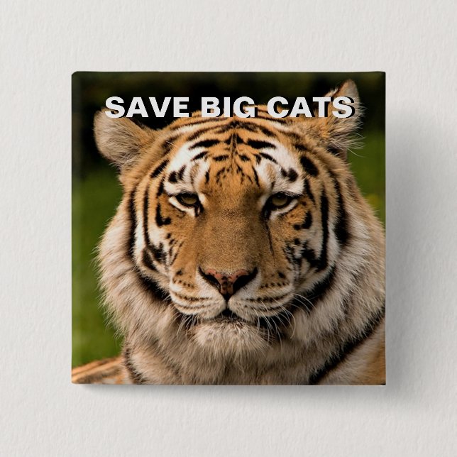 Sumatran Tiger Portrait Pinback Button (Front)