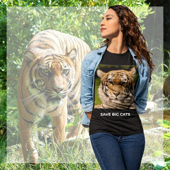 Sumatran Tiger Portrait T-shirt by efhenneke at Zazzle