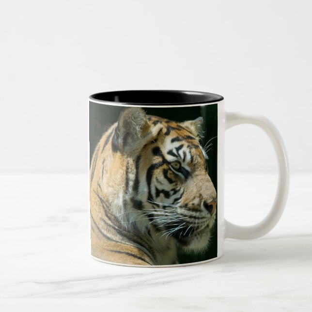 Sumatran Tiger Two-Tone Coffee Mug (Right)