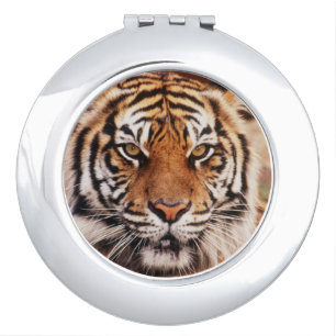 Sumatran Tiger Vanity Mirror