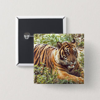 Sumatran Tiger Wild Button