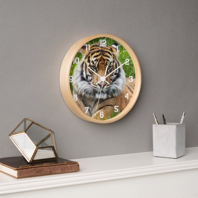 Sumatran Tiger Wildlife Photo Clock (Office)