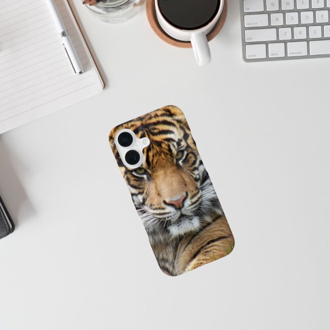 Sumatran Tiger Wildlife Photo iPhone Case (In Situ)