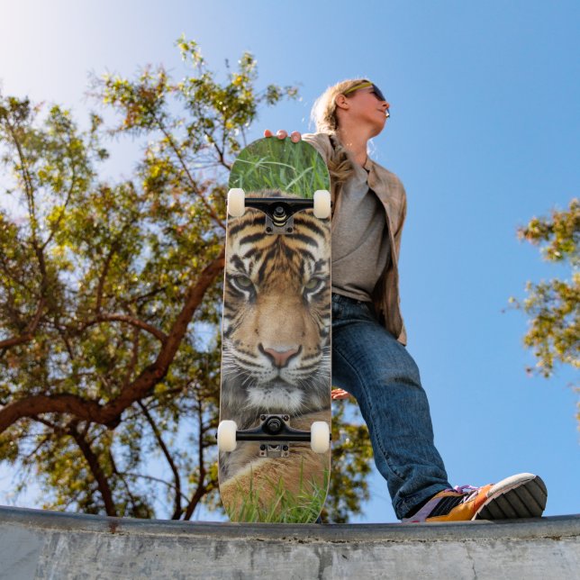 Sumatran Tiger Wildlife Photo Skateboard (Outdoor 1)
