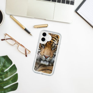 Sumatran Tiger Wildlife Photo iPhone 16 Case