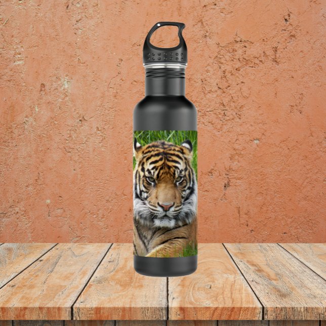Sumatran Tiger Wildlife Photo Water Bottle (In Situ)