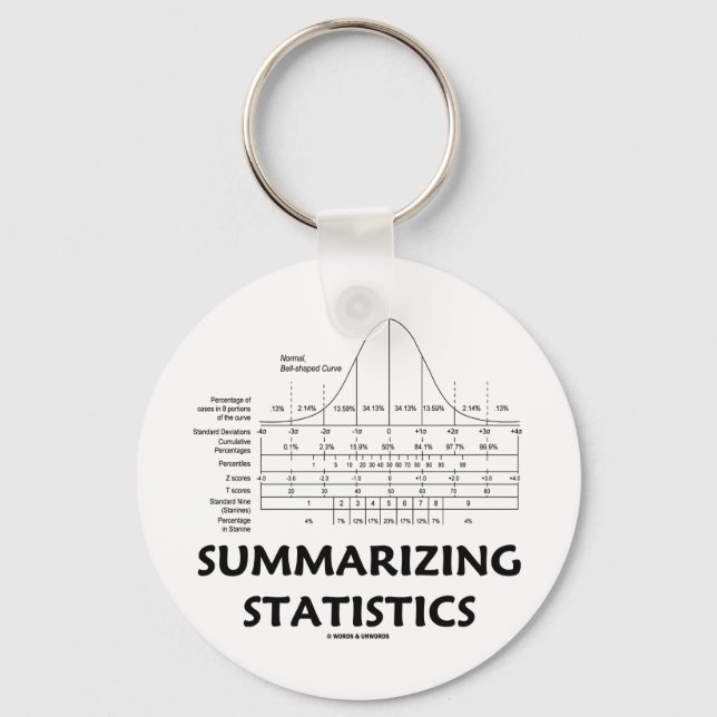 Summarizing Statistics Keychain (Front)