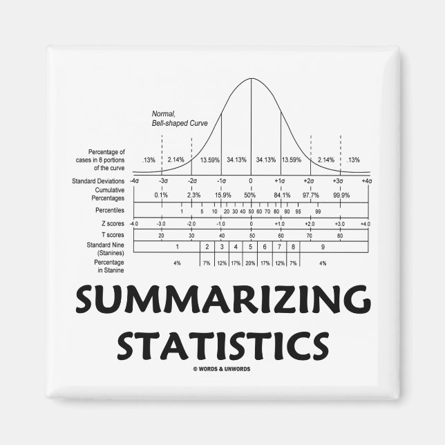Summarizing Statistics Magnet (Front)