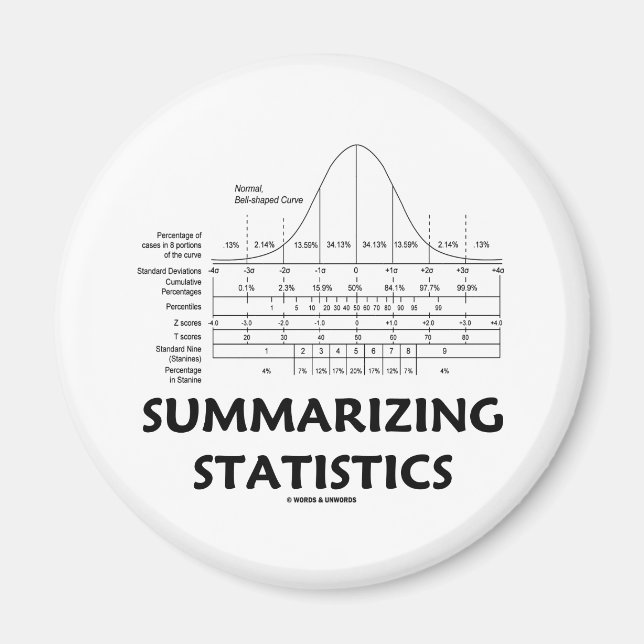 Summarizing Statistics Magnet (Front)