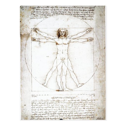 Summary Leonardo da Vinci: The Proportions of the Postcard | Zazzle