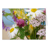 Summer (Front Horizontal)