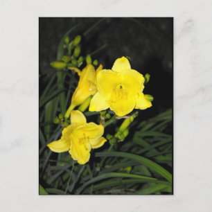 ~ Summer 10 ~ Postcard
