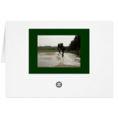 Summer ~ 14 (Back Horizontal)