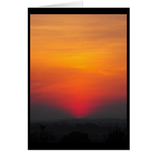 Summer ~ 6 cards