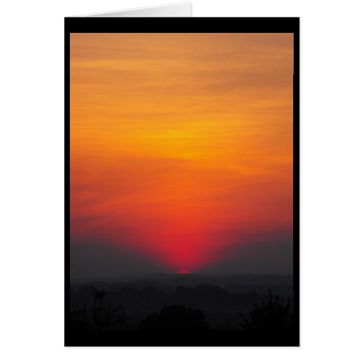 Summer ~ 6 cards (Front)