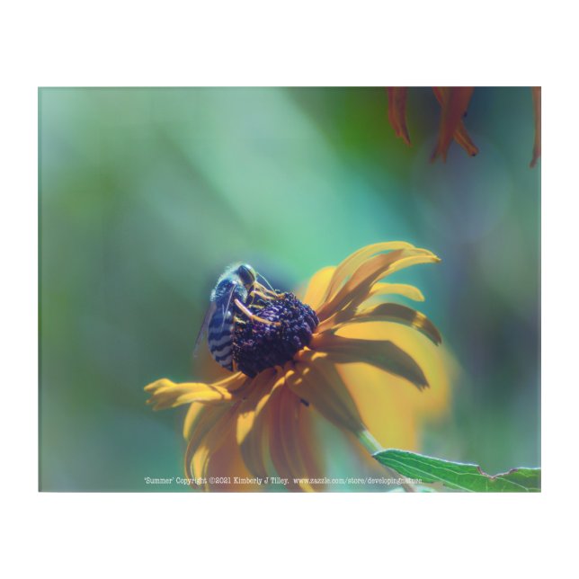 Summer Acrylic Print (Front)