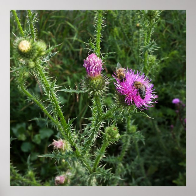 Summer activity poster (Front)