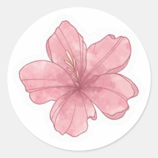 summer aesthetic   classic round sticker